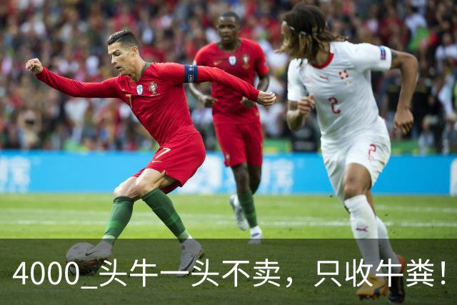 4000 头牛一头不卖，只收牛粪！广西汉靠 “屎” 逆袭，狂赚上亿身家